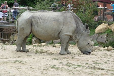 Amneville Zoo-39
