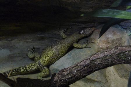 Amneville Zoo-113