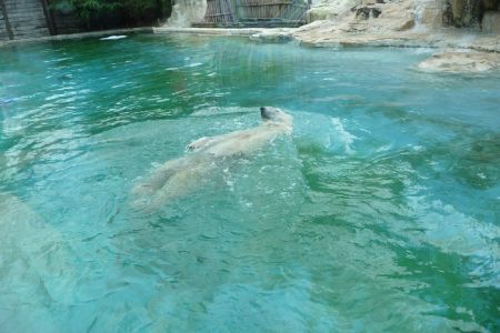 Amneville Zoo-12