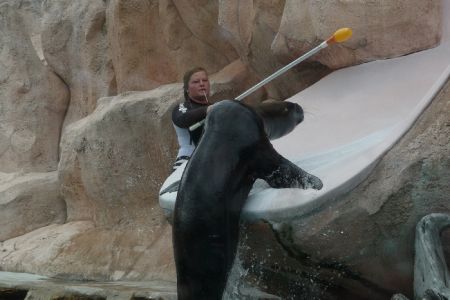 Amneville Zoo-62
