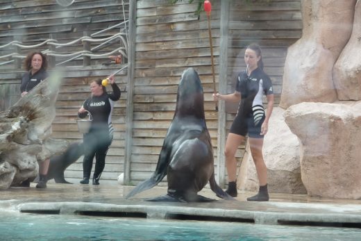 Amneville Zoo-60