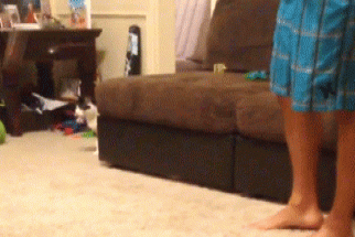gif-08102017-007