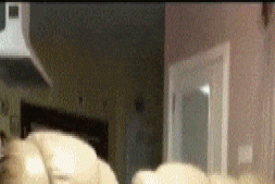 gif-16062017-010