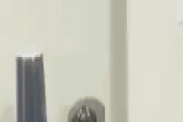 gif-20102017-018