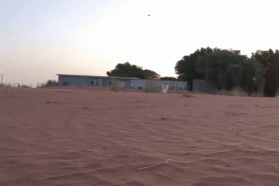gif-08102017-015