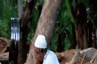 gif-08092017-010