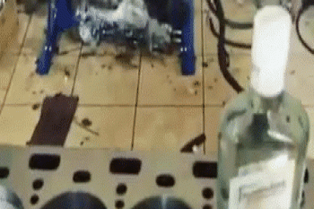 gif-25082017-011
