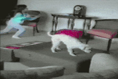 gif-21072017-003