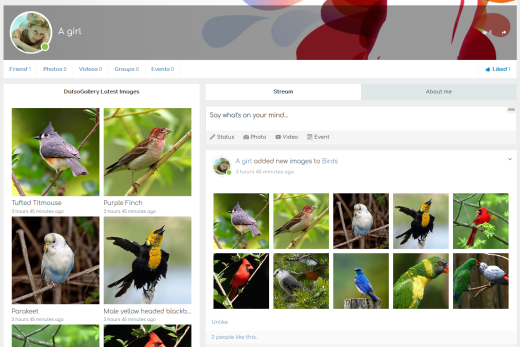 Integration DatsoGallery with JomSocial