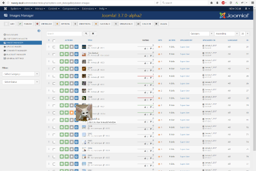 DatsoGallery на Joomla 3.7