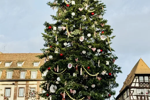 Strasbourg Christmas Tree 2024