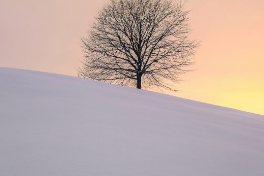 fabrice villard