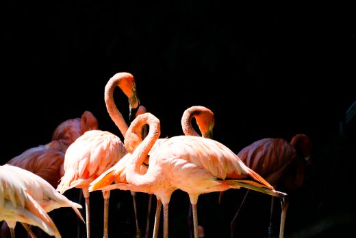 P1013795