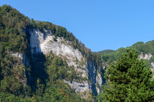 P1013989