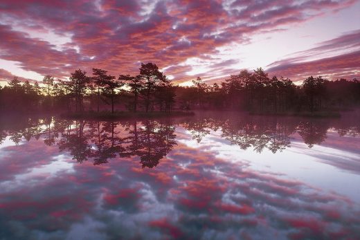 Landscape-31