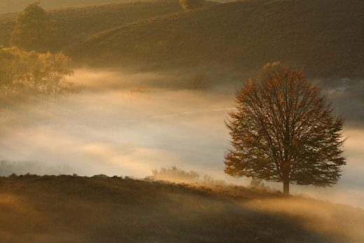 Landscape-27