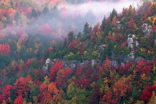 Landscape-36