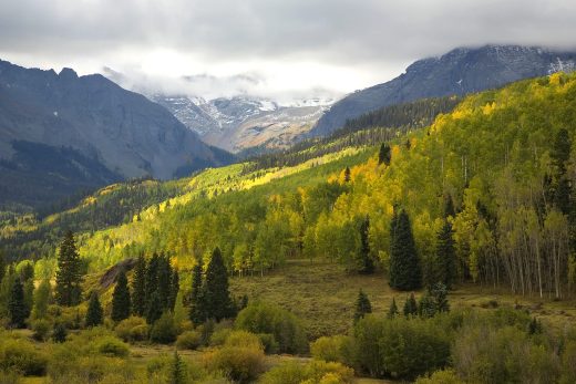 Landscape-8