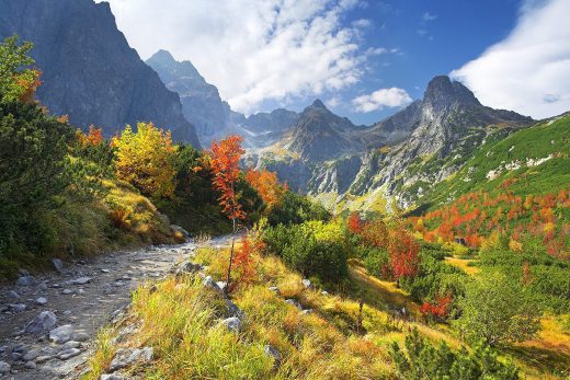 Landscape-40