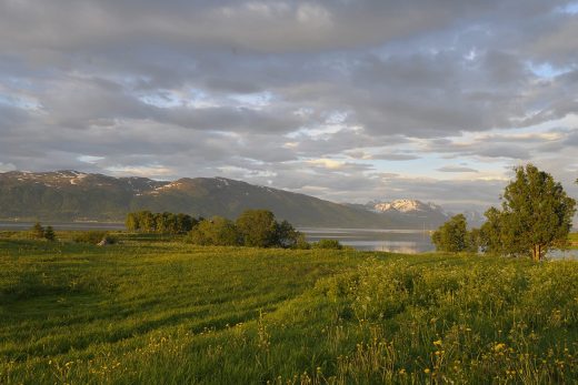 Landscape-5