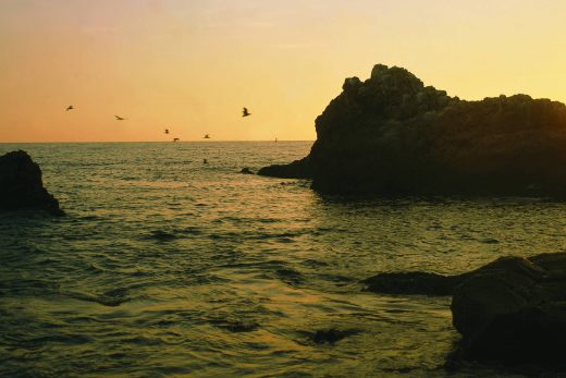 Nature Panorama-5