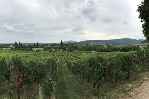 Mittelbergheim, France