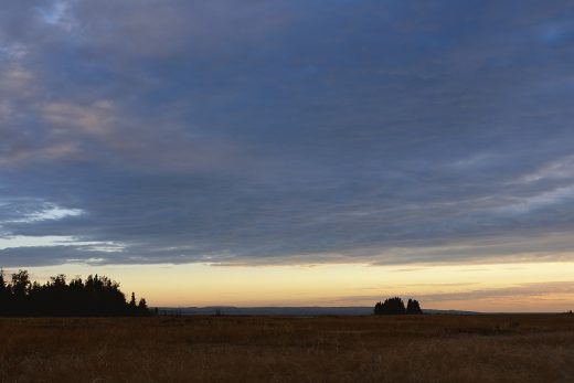 Панорама-2
