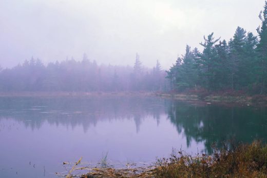 Nature Panorama-15