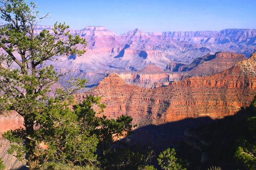 Nature Panorama-11