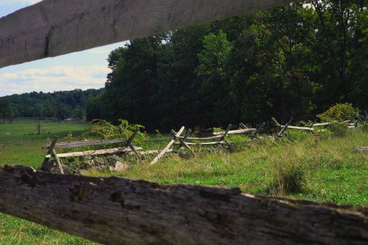 Nature Panorama-13
