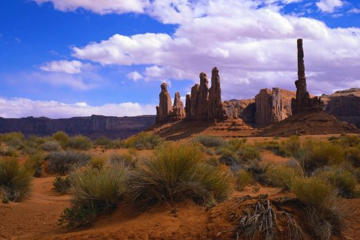 Nature Panorama-9