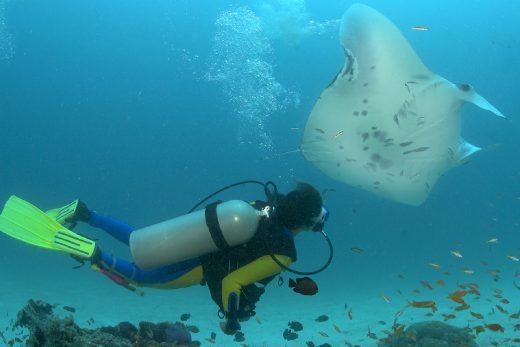 Under Sea-39