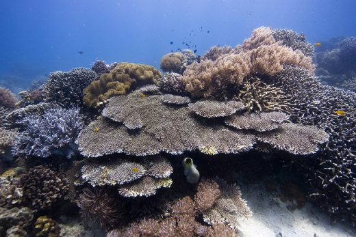Under Sea-6