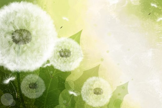 Art Flowers-13