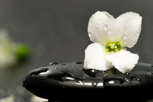 Spa HD-14